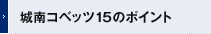 ���R�x�b�c15�̃|�C���g