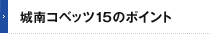 ���R�x�b�c15�̃|�C���g