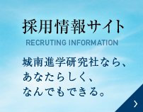 2017採用情報サイト